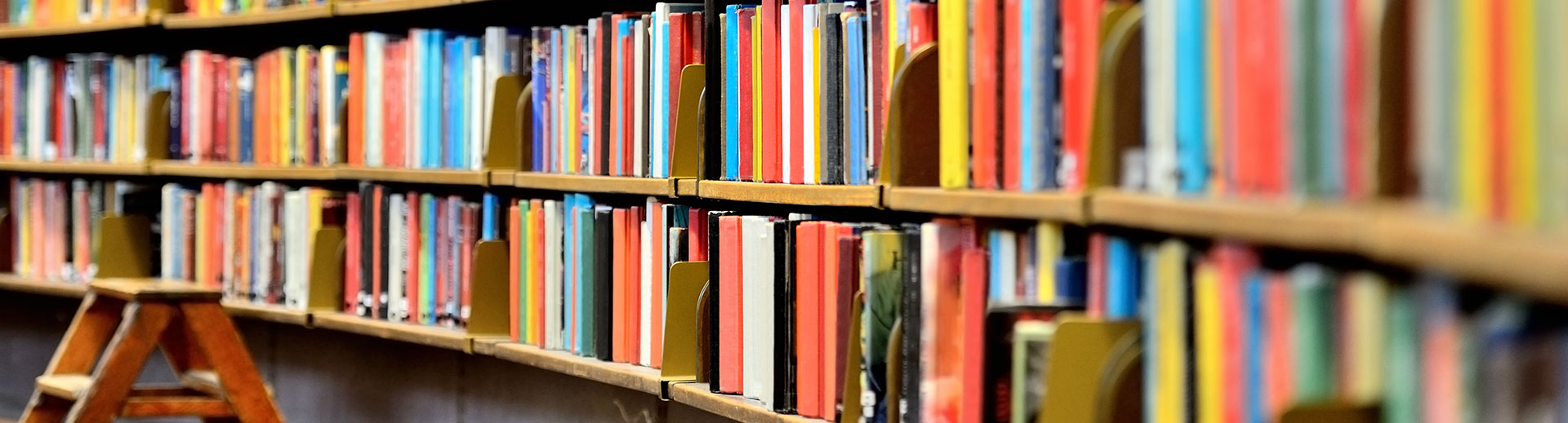 Photo of books on a library shelf